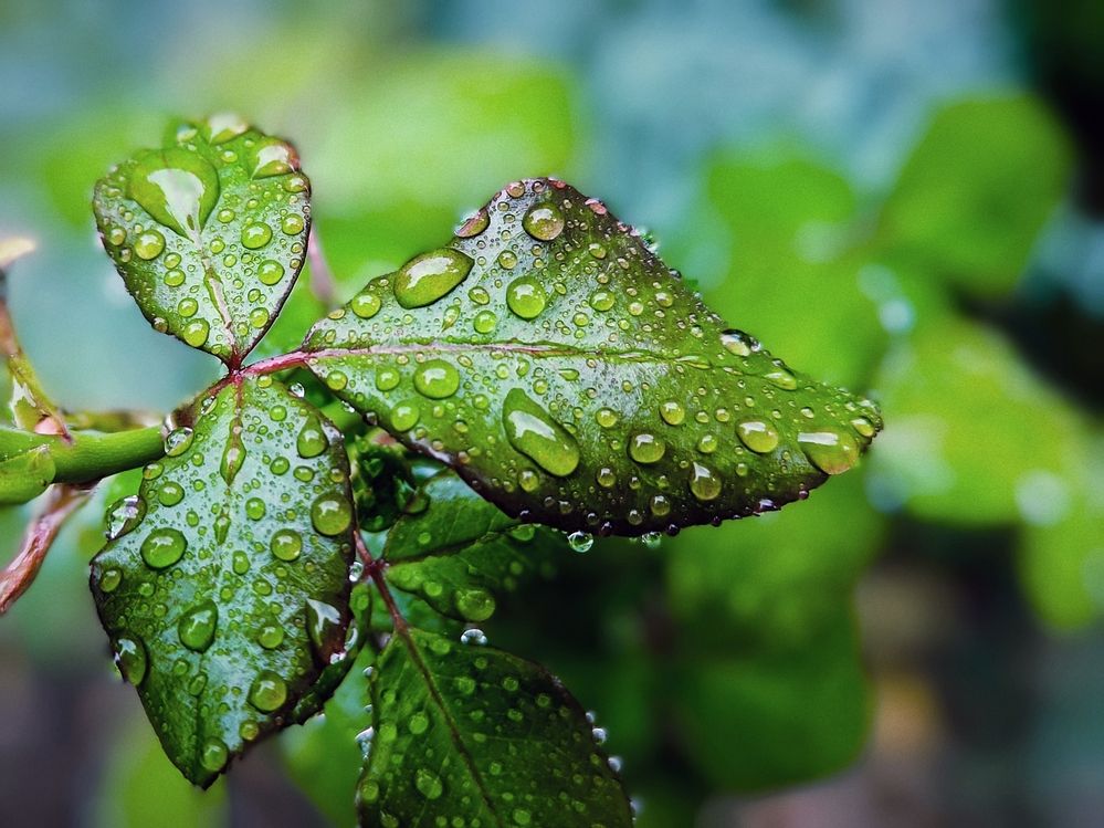 Фотография автора Андрей Павловский