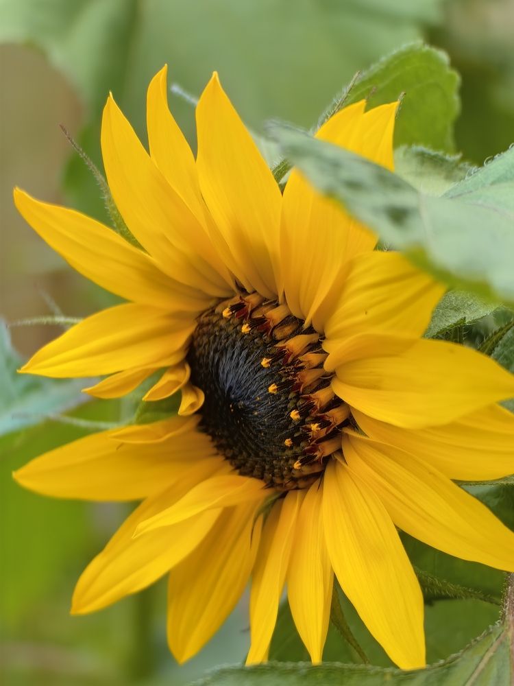 Photograph by Елена Акимова