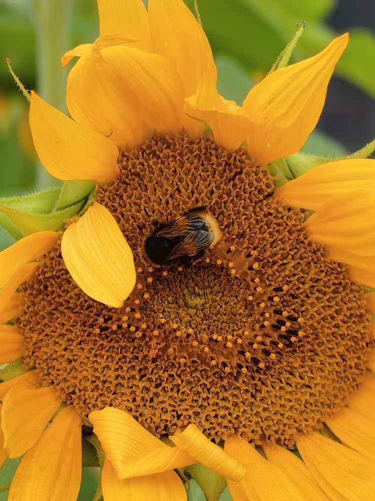 Photograph by Елена Акимова