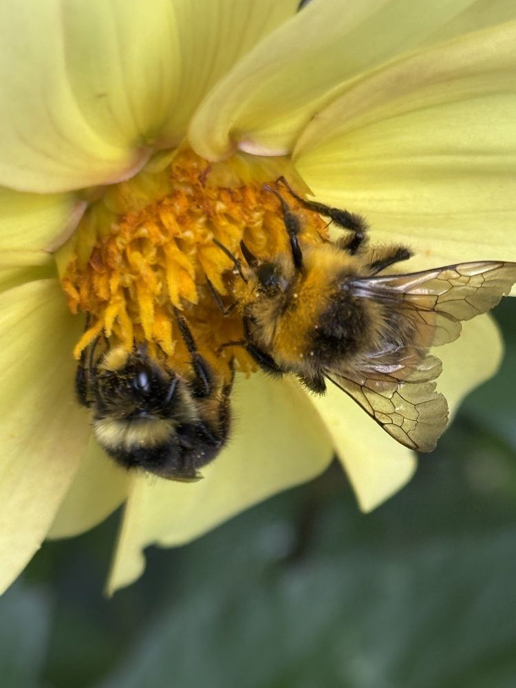 Photograph by Владислав Рубцов