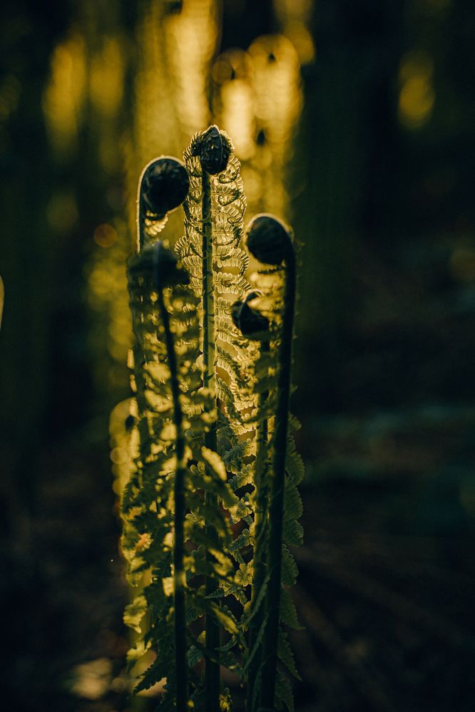 Photograph by Ирина Рыжова