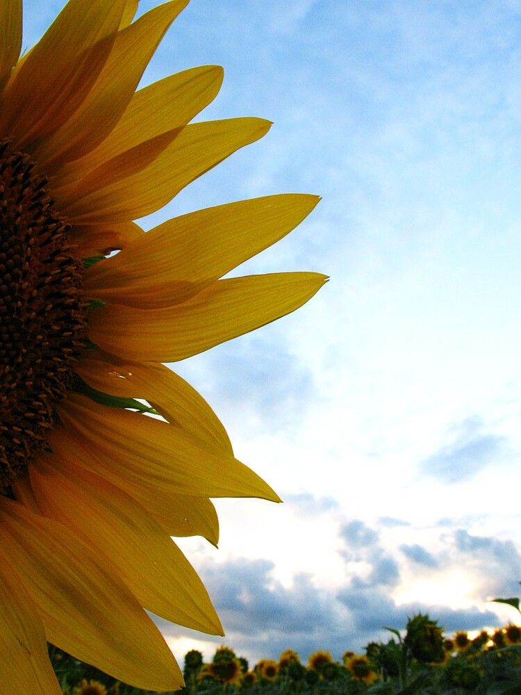 Фотография автора Евгений