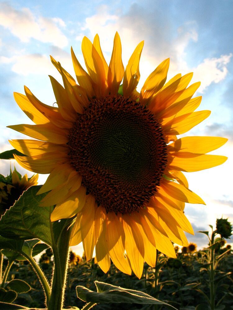 Фотография автора Евгений