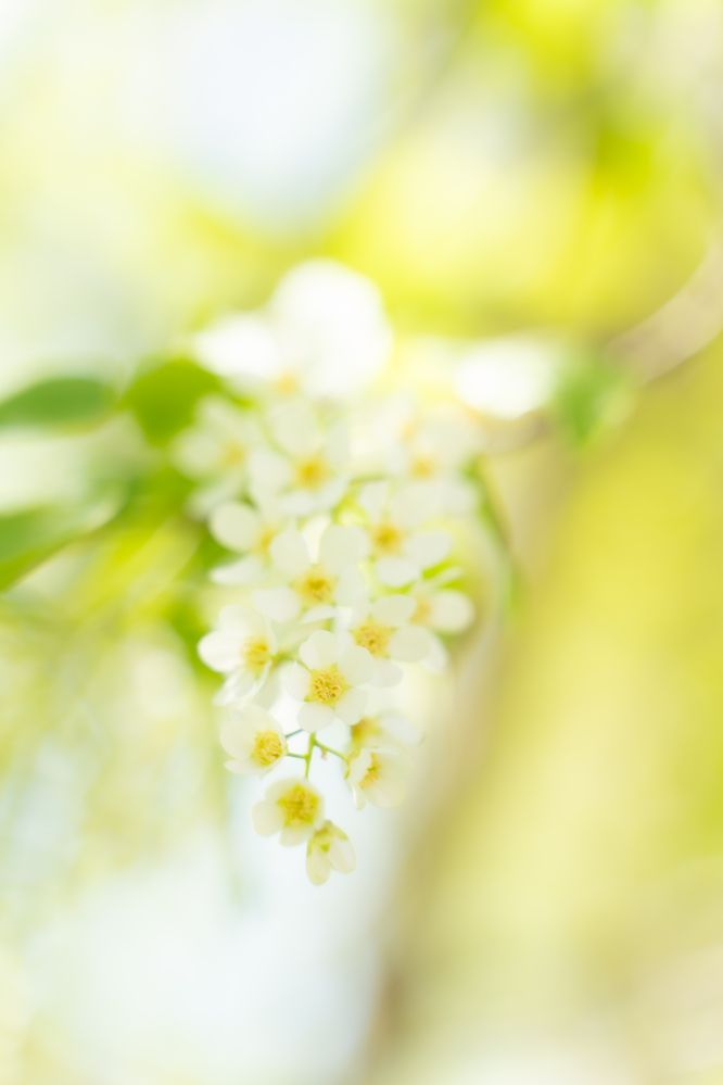 Photograph by Ирина Рыжова