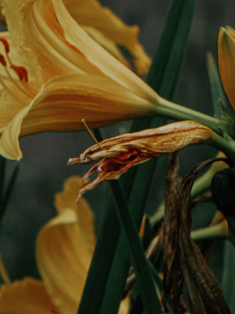Photograph by Александра