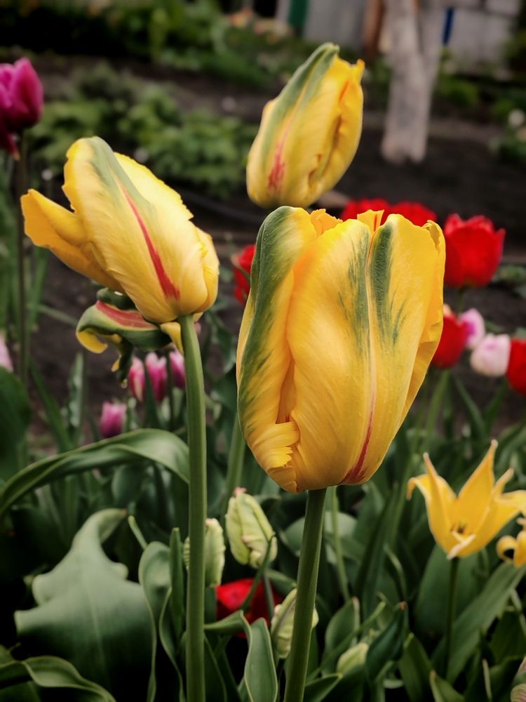 Photograph by Серёга Ануфриев