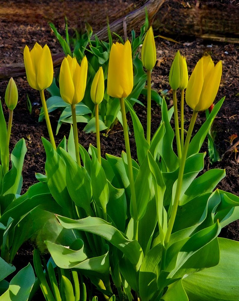 Photograph by Сергей Кесаев