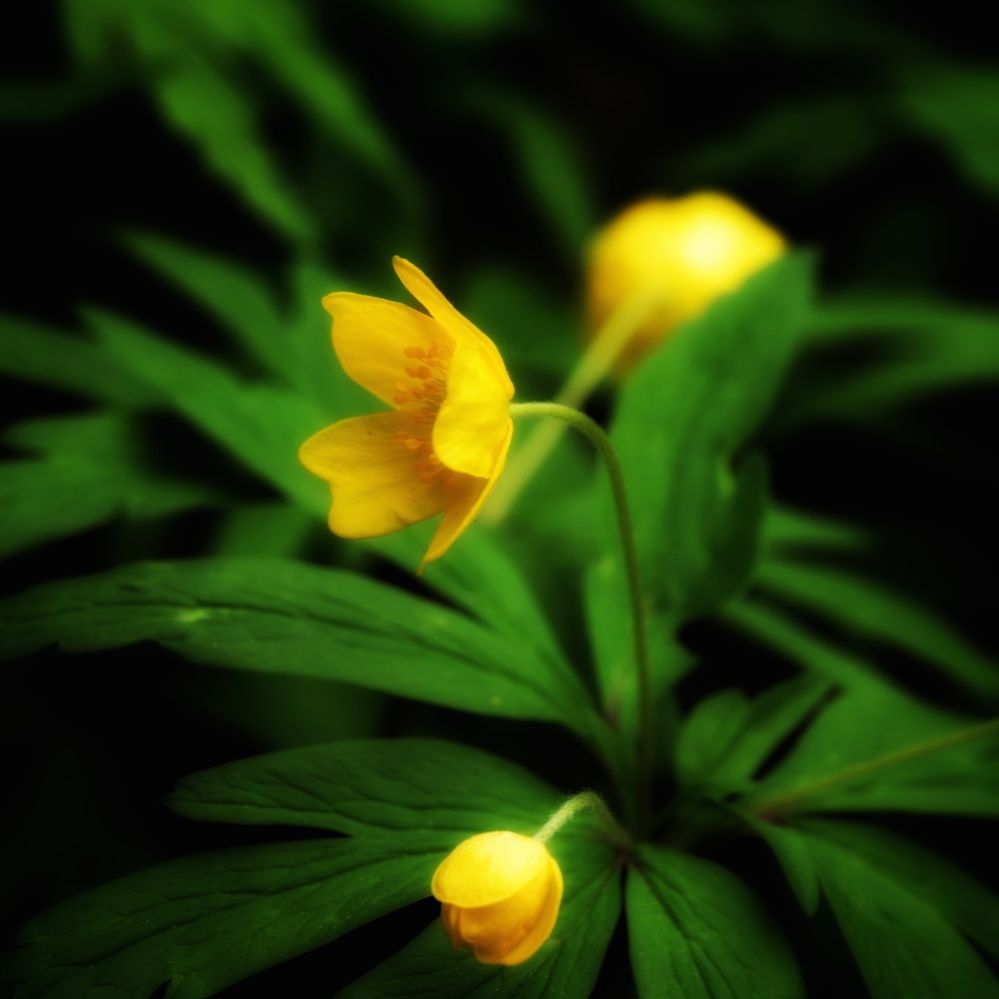 Photograph by Ксения Шилина