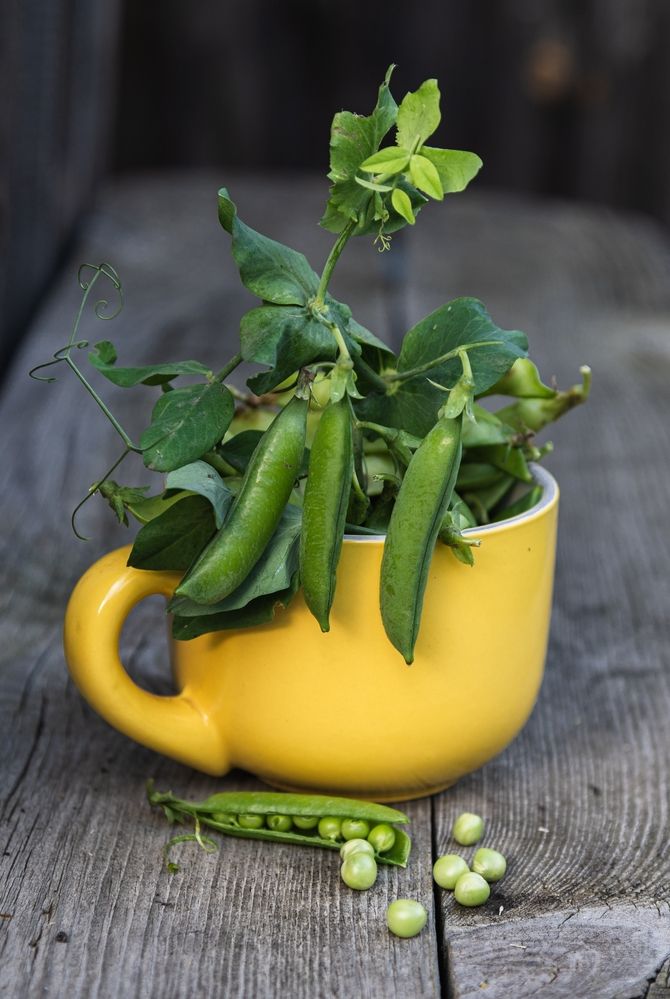 Photograph by Галина Патрушева