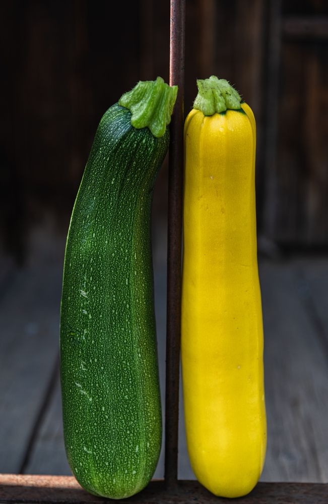 Photograph by Галина Патрушева