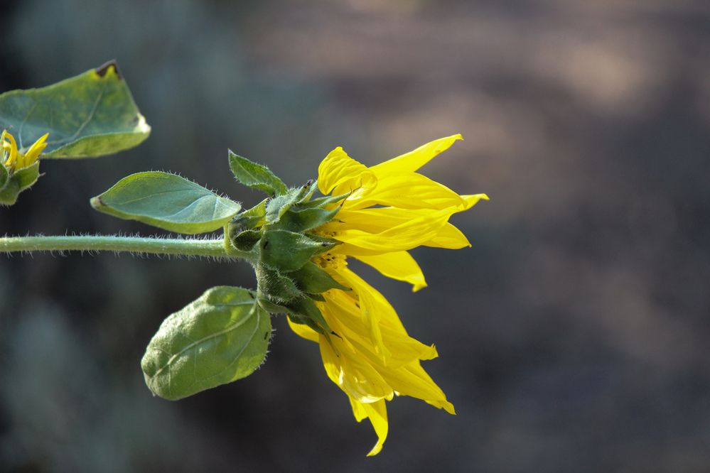 Photograph by Ирина Дмитриенко