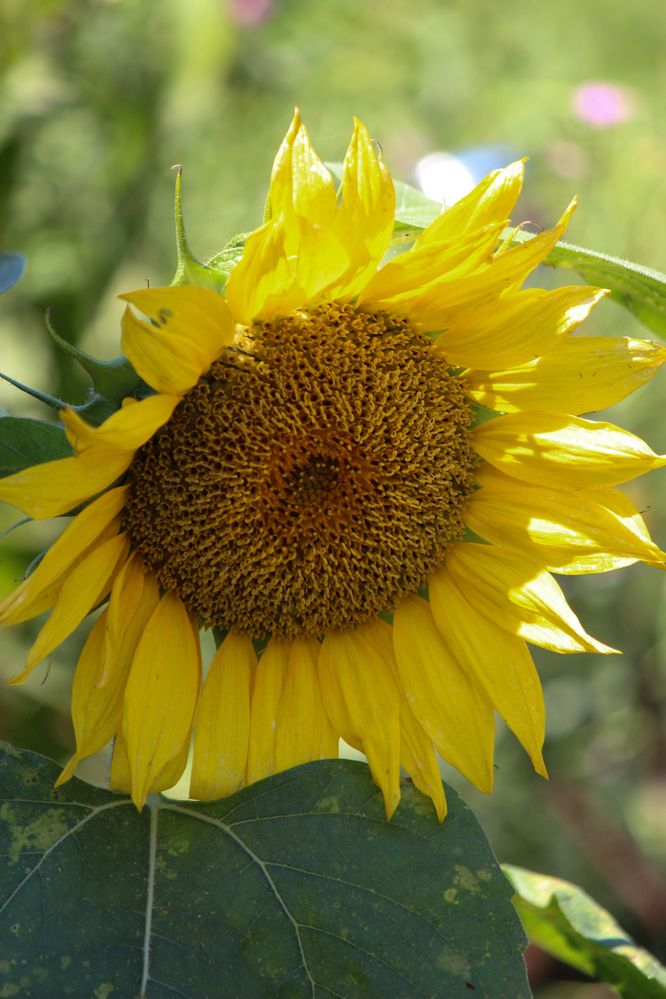 Photograph by Ирина Дмитриенко