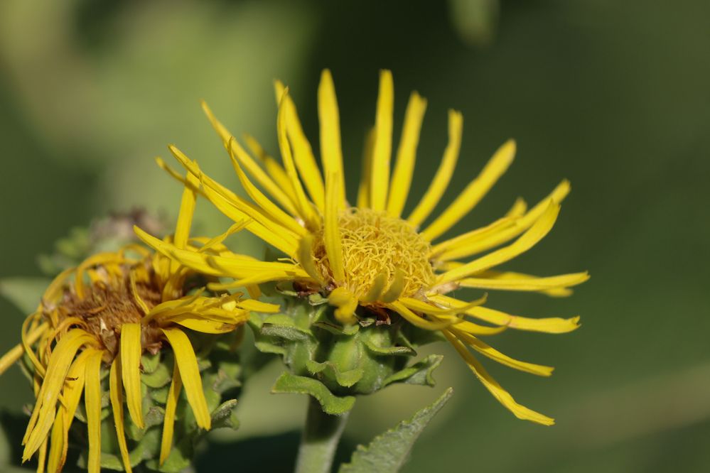 Photograph by Ирина Дмитриенко