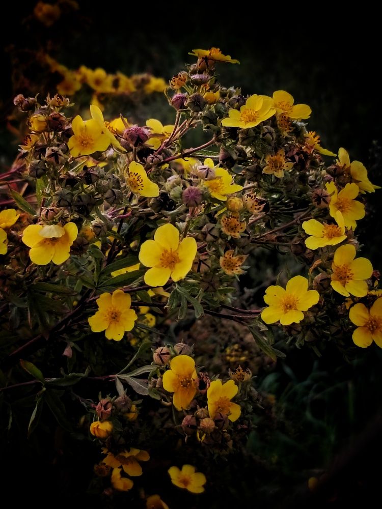 Photograph by Светлана Филина