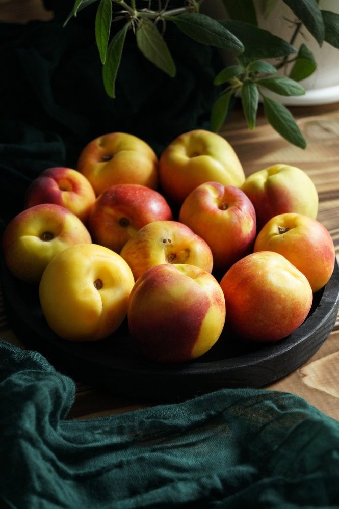 Photograph by Светлана Филина