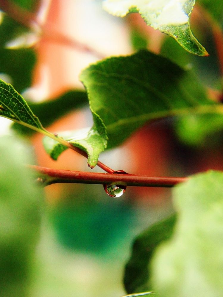 Photograph by Алексей Коношонкин