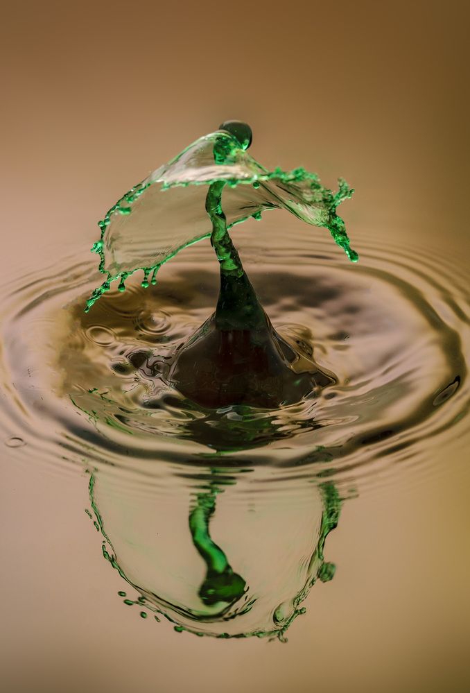 Photograph by Армашов-Тельник Григорий