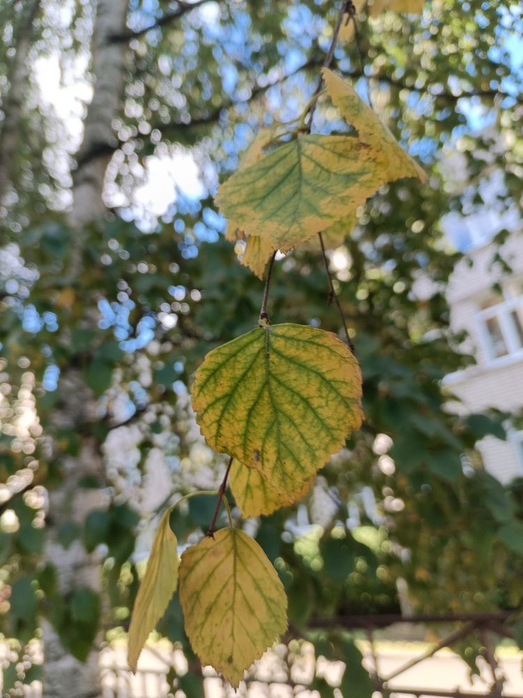 Photograph by Анна Князева