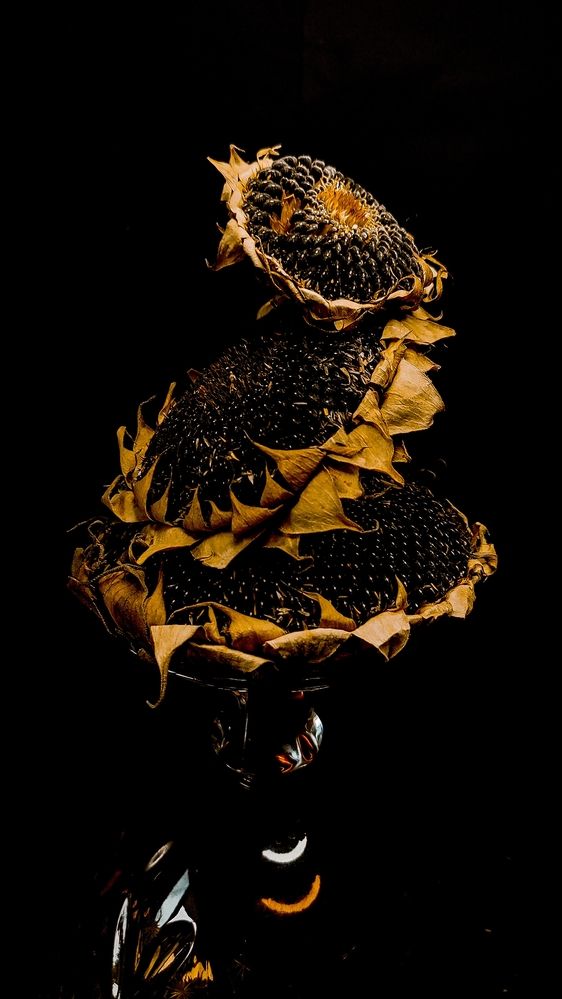 Photograph by Ирина Строкова