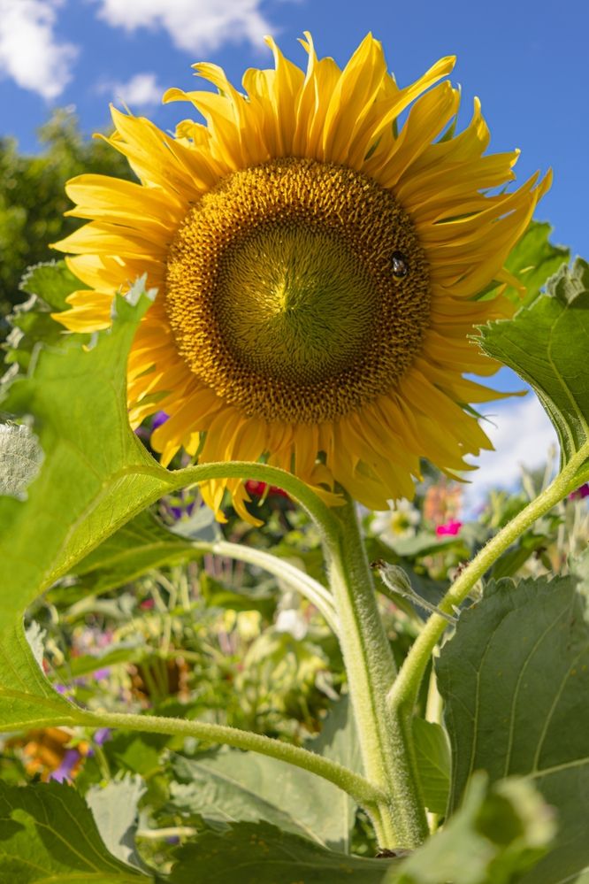 Photograph by Анна Васильева
