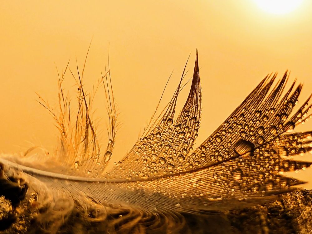 Photograph by 