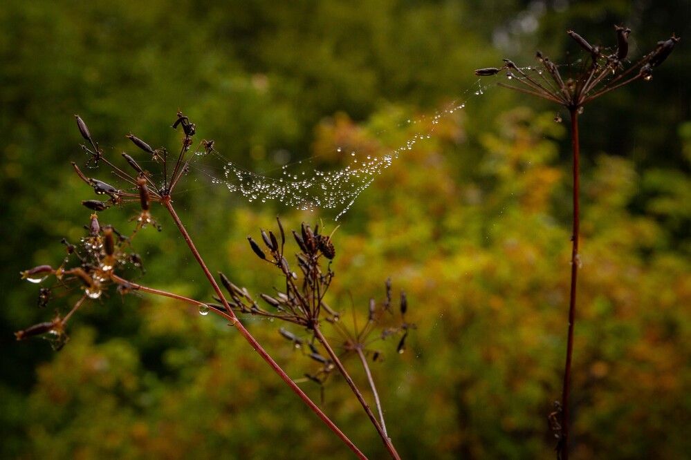 Photograph by Владислав Лопатов