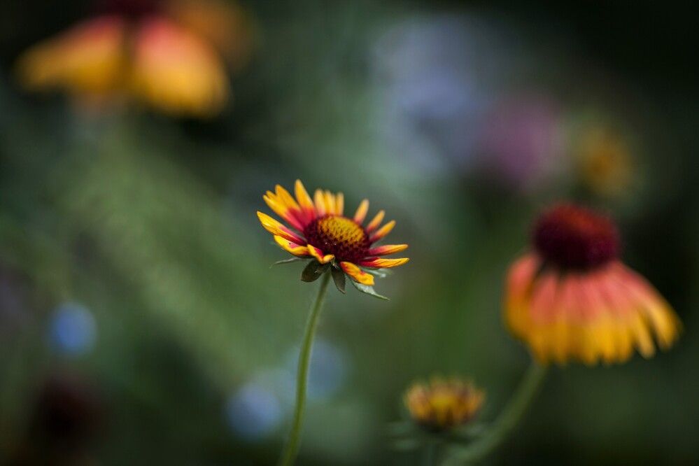 Фотография автора Юрий Кульмяков