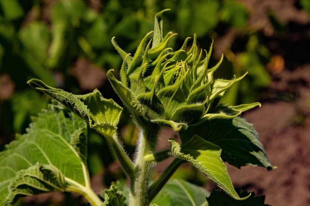 Photograph by Владислав Лопатов