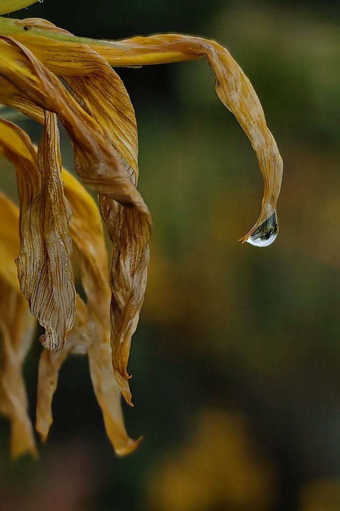 Photograph by Кристина Феминова