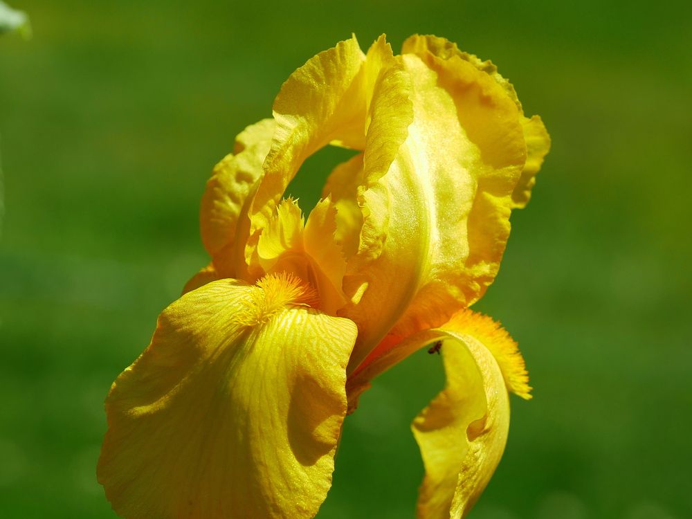 Photograph by Владимир Лобанов