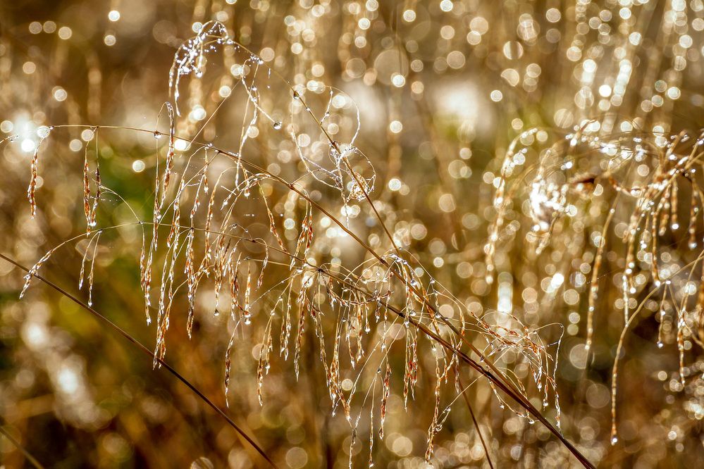 Фотография автора Юрий Фефилов