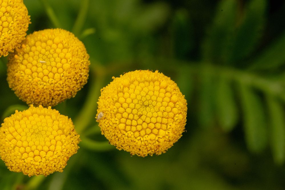 Фотография автора Ruslan Badykov