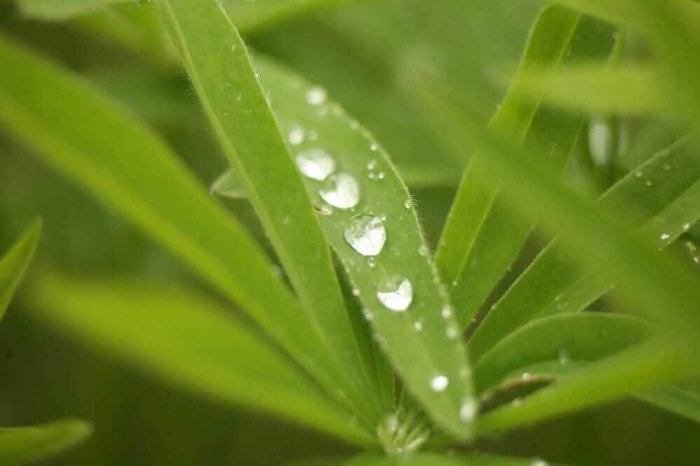 Photograph by Сергей Зятиков