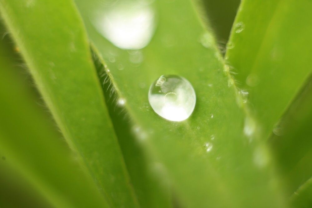 Photograph by Сергей Зятиков