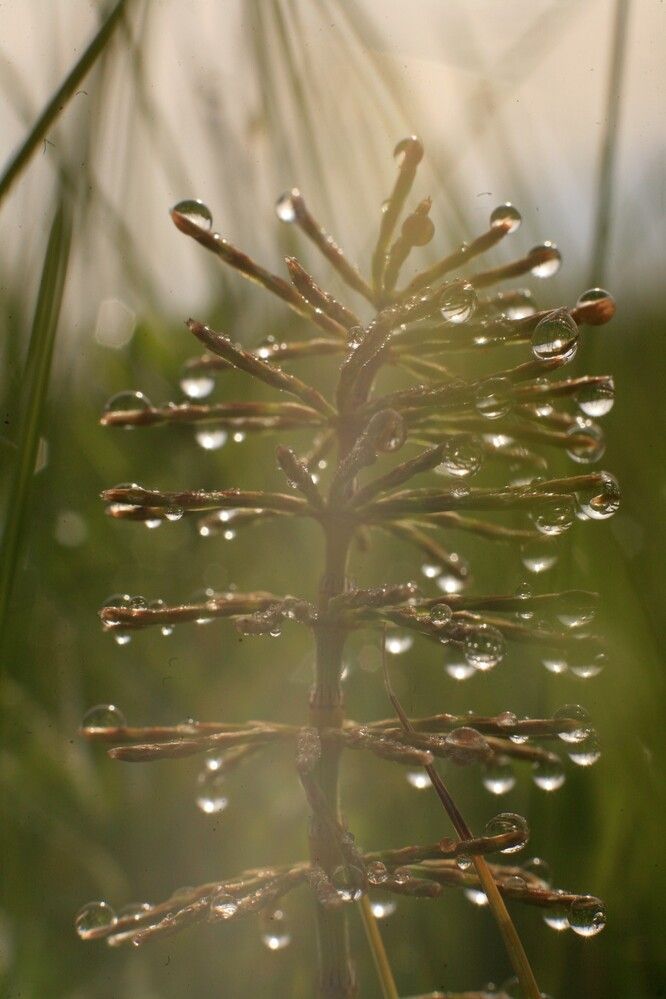 Photograph by Сергей Зятиков