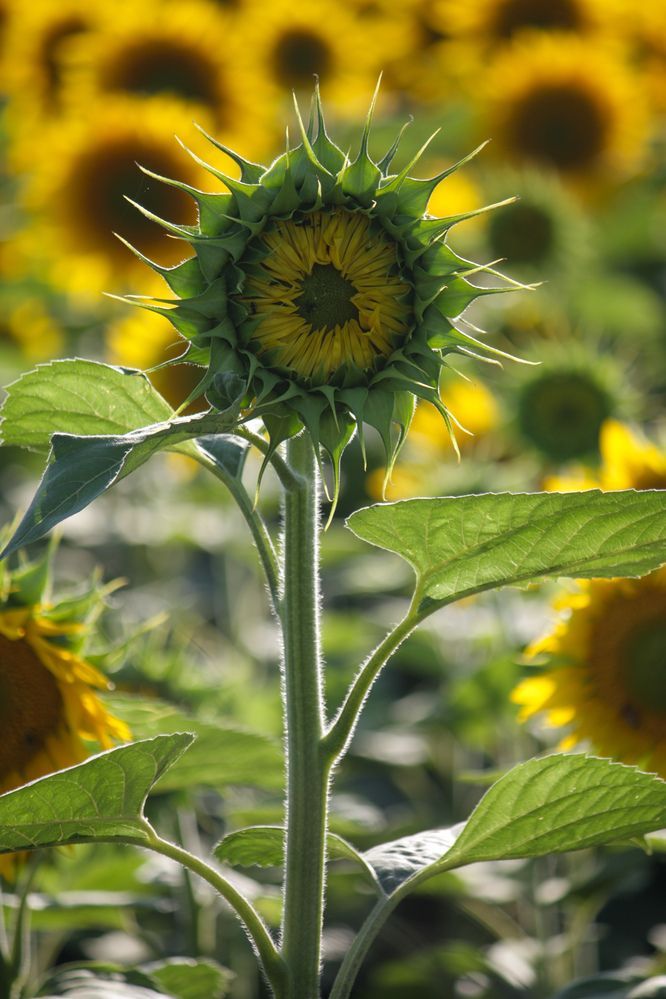 Photograph by Титова Наталья