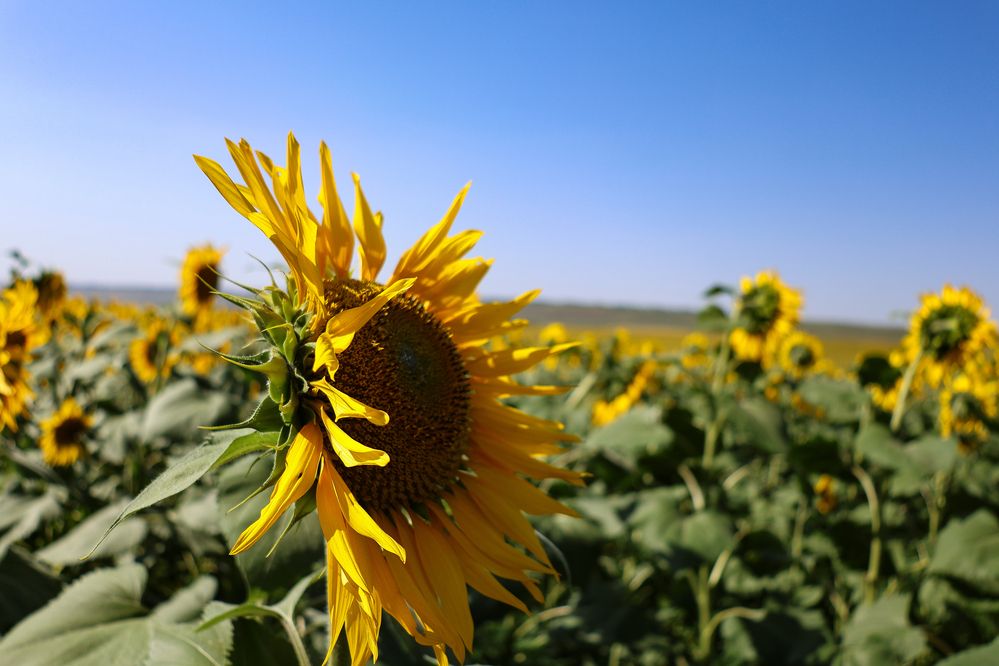 Photograph by Олег Филиппов