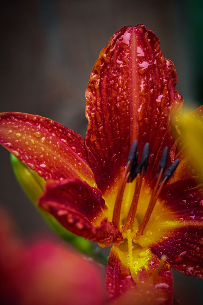 Photograph by Евгения Борзова