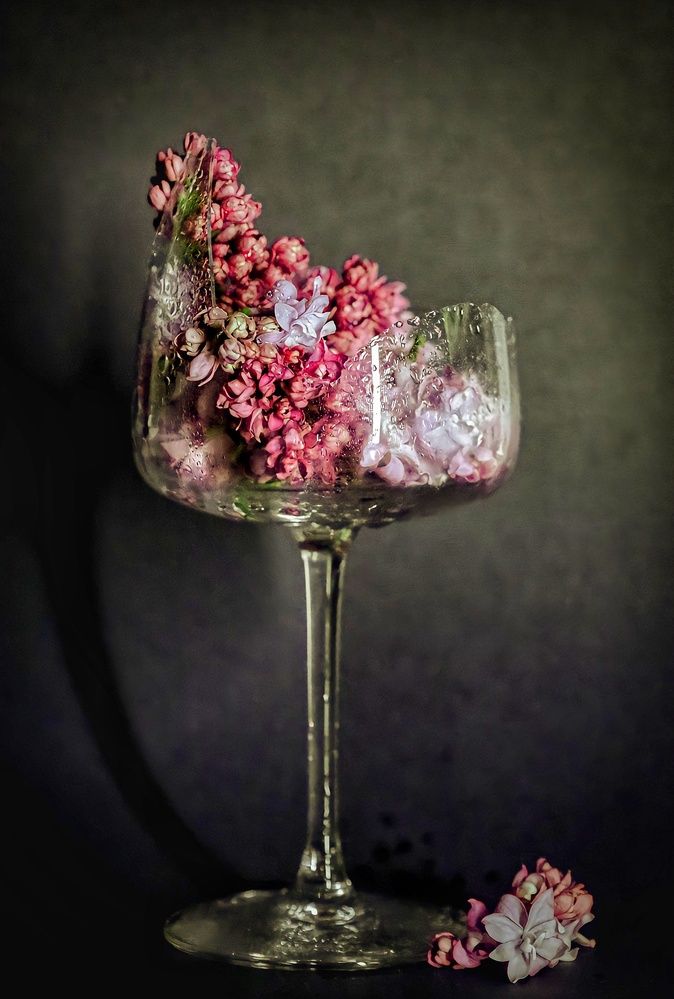 Photograph by Евгения Борзова