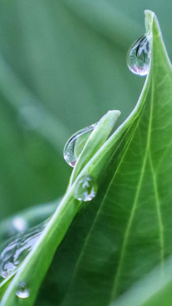 Photograph by Евгения Борзова