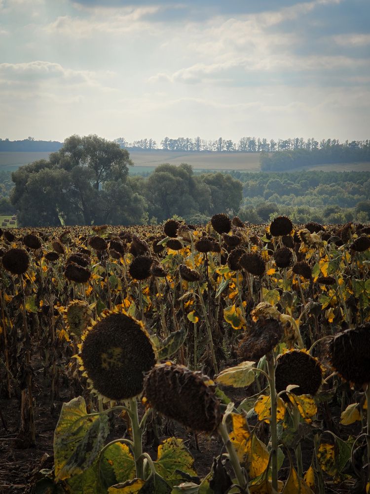 Photograph by Ирина Хлебникова