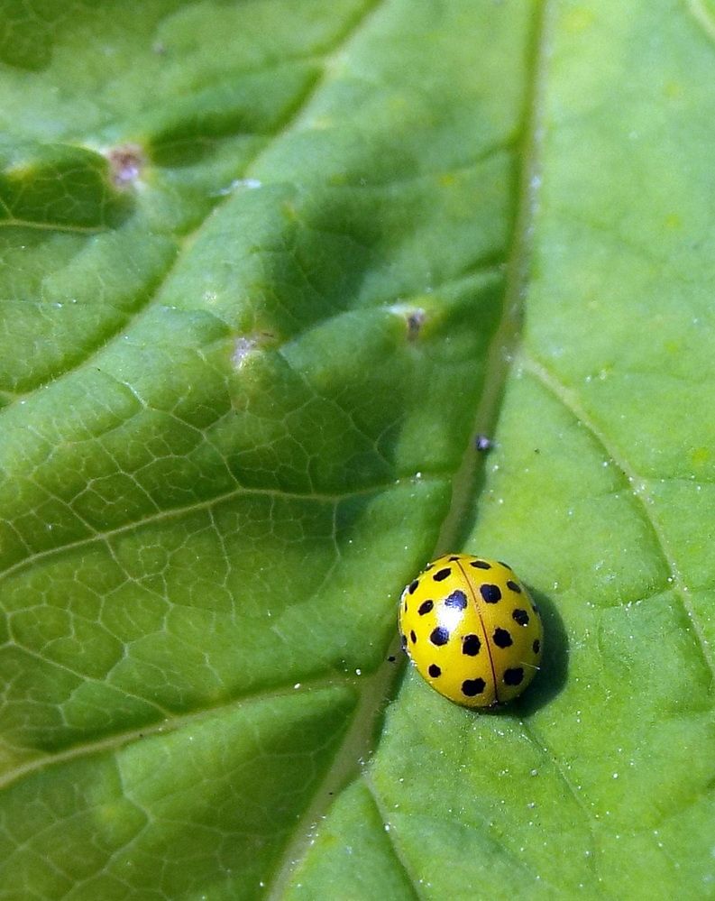 Photograph by Александр Бастраков