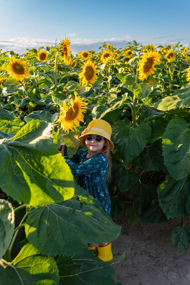 Фотография автора Анна Хмелькова