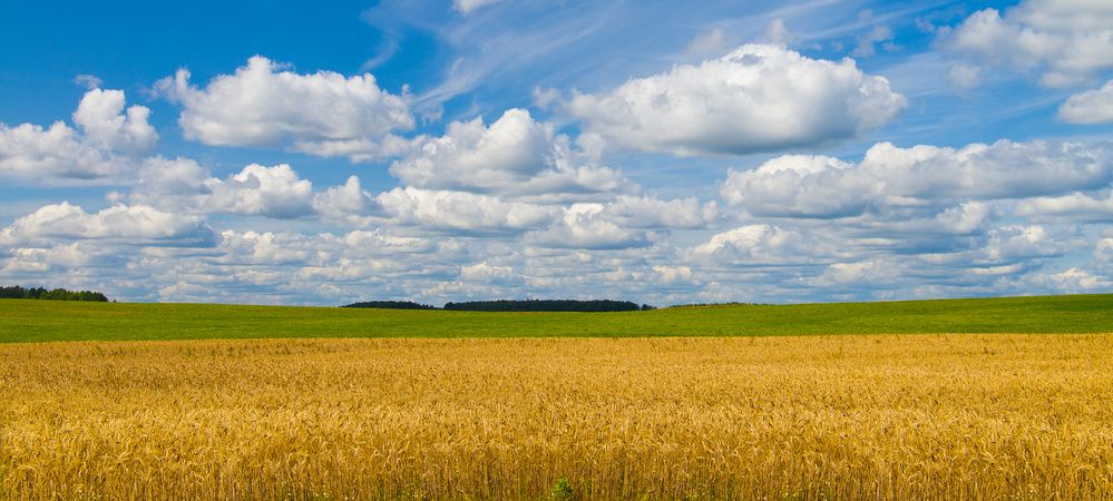 Photograph by Александр Трошин