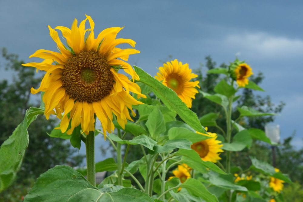 Photograph by Ирина Федичева