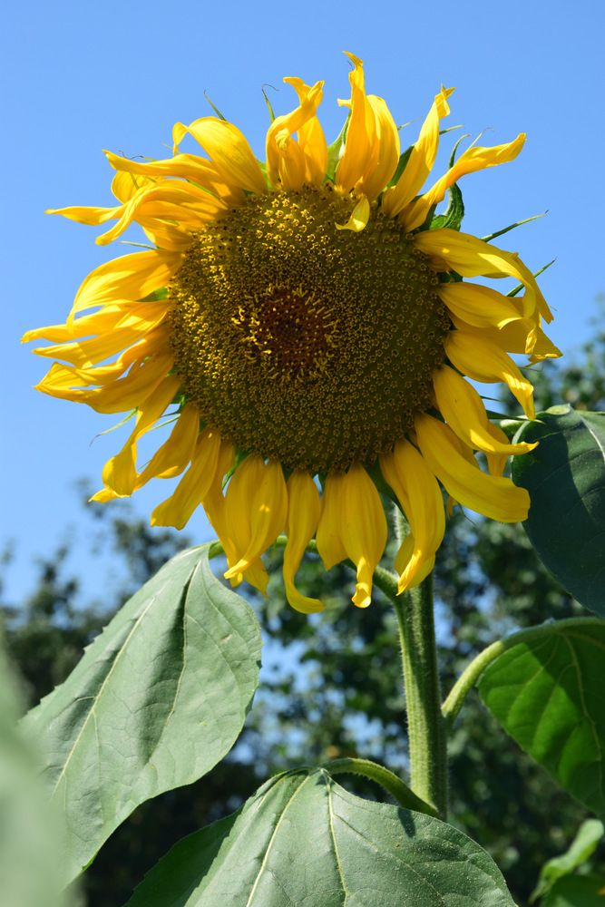 Photograph by Ирина Федичева