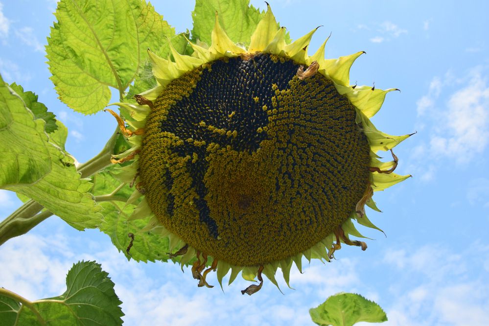 Photograph by Ирина Федичева