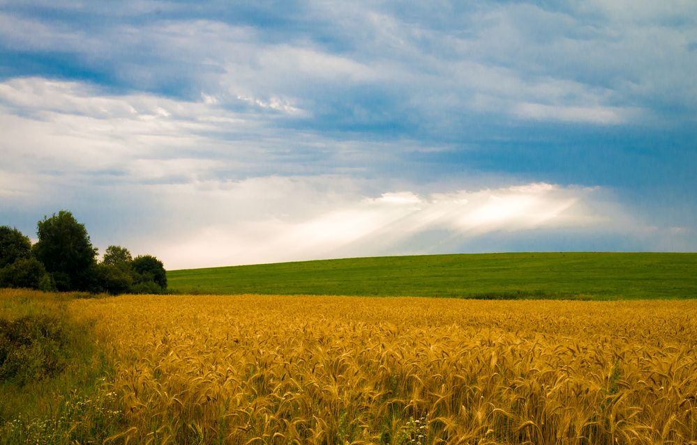 Photograph by Александр Трошин