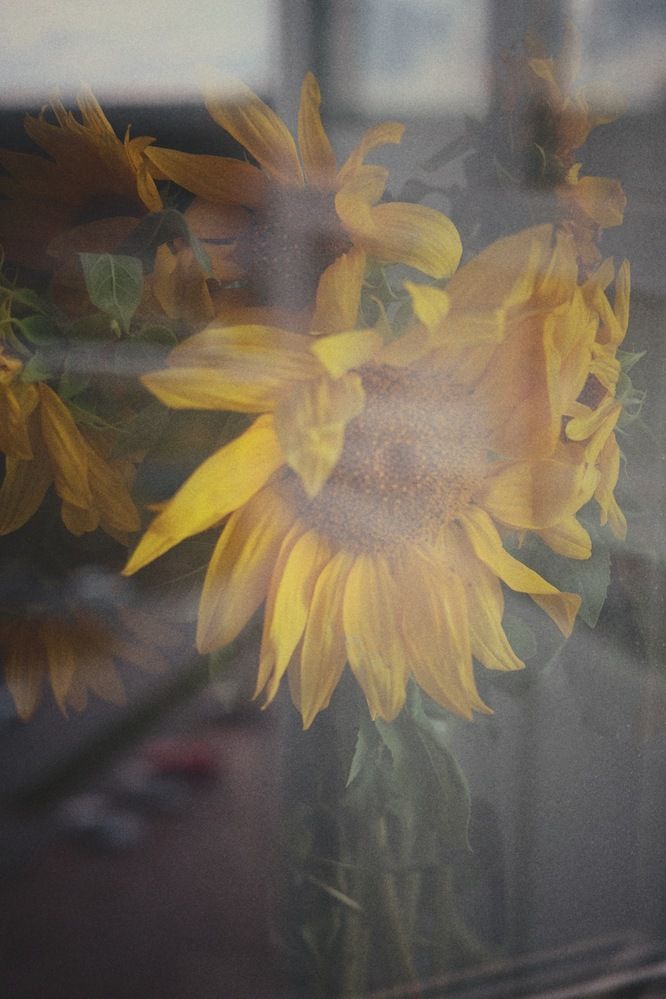 Photograph by Анна Столбова