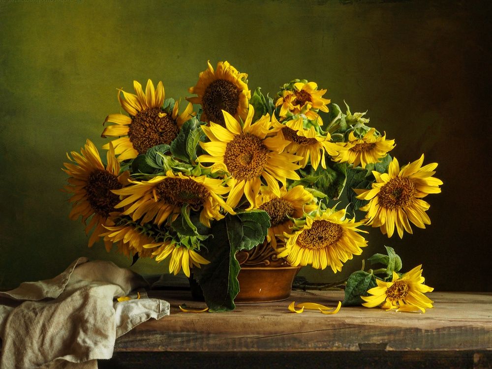 Солнечные дни уходящего лета